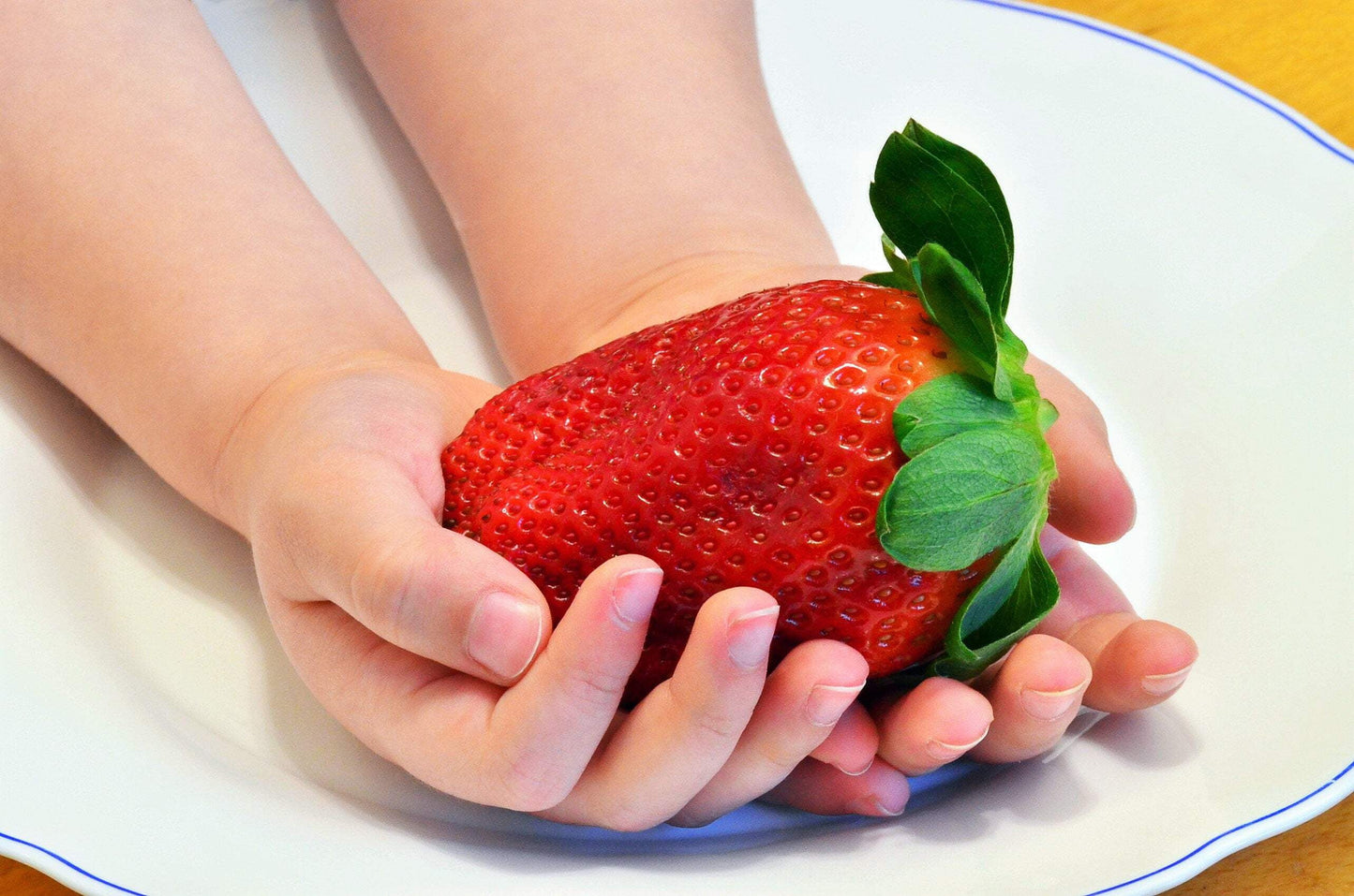 15 Seeds - GIANT STRAWBERRY Fragaria June Bearing Huge Red Berry Fruit Seeds