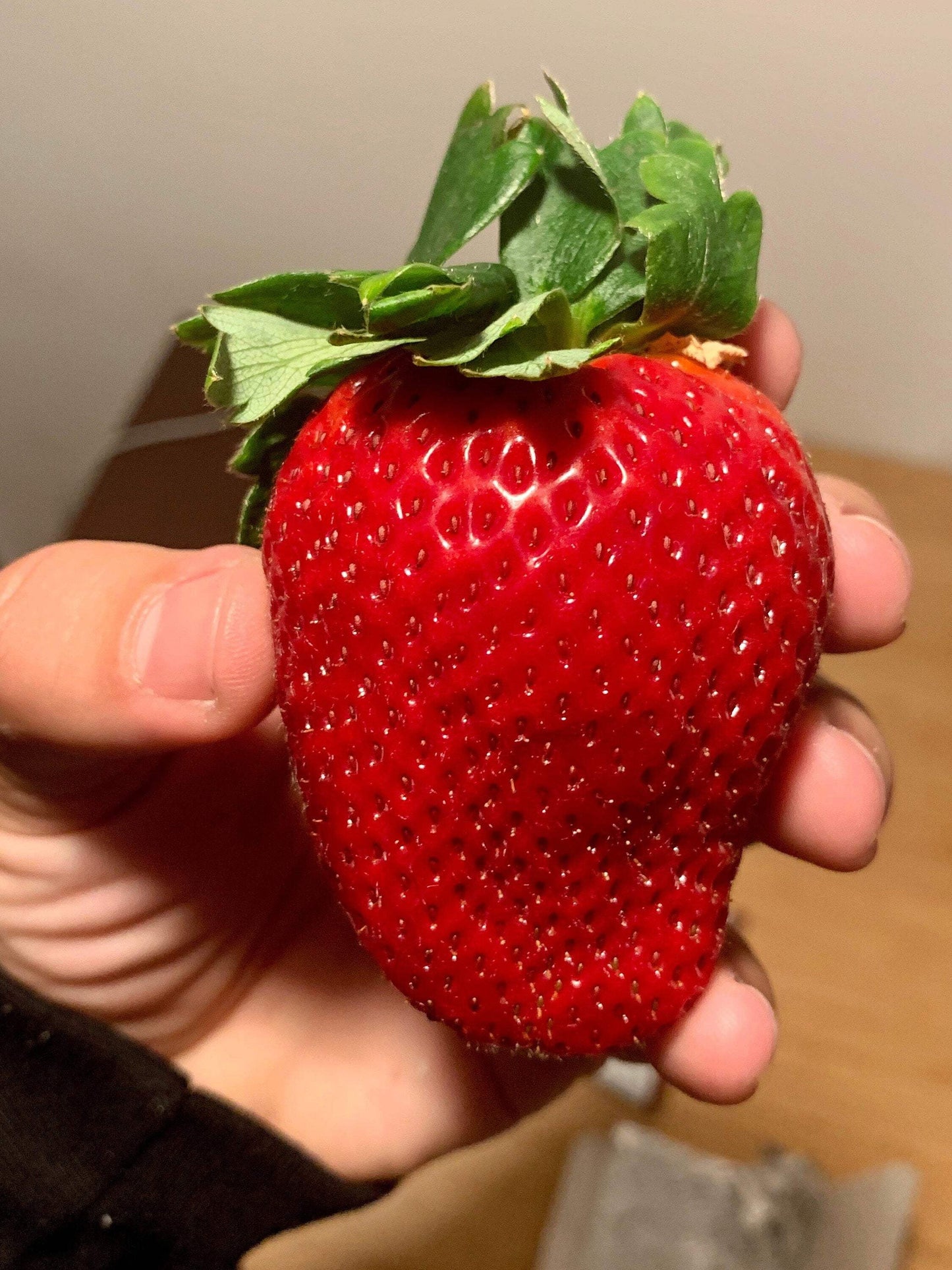 15 Seeds - GIANT STRAWBERRY Fragaria June Bearing Huge Red Berry Fruit Seeds